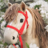 ZÁBAVNÝ TÝDEN PRO DĚTI Hobby Horse