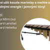 Podvečery s hudbou - Marimba třikrát jinak