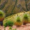 1000 barev Peru